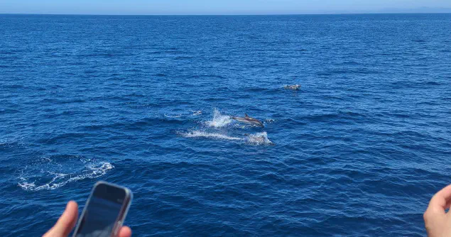 Mission completed in the Mediterranean Sea