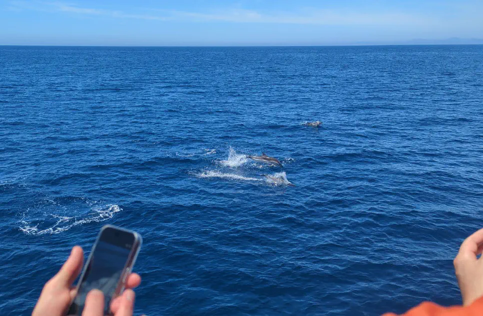 Mission completed in the Mediterranean Sea